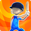 Live Cricket Battle 3D: Jeux d