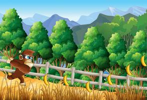 Ninja Monkey Dash تصوير الشاشة 2
