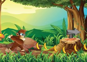 Ninja Monkey Dash تصوير الشاشة 3