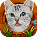 APK Cute Cat HD Wallpaper