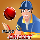 Play Cricket icône