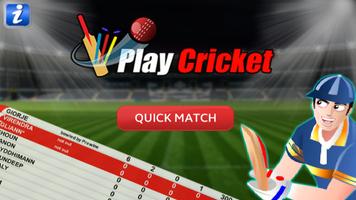 Play Cricket Affiche