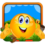 Cover Orange Defender