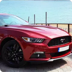 Vero Mustang Sim di Guida 2017