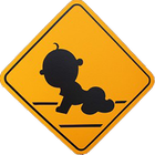 Baby Crossing : Play Day icon