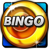 Bingo Pro - New US Bingo Games APK