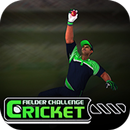 Cricket Fielder Challenge APK