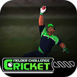 Cricket Fielder Challenge icône