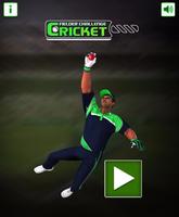 Cricket Fielder Challenge पोस्टर