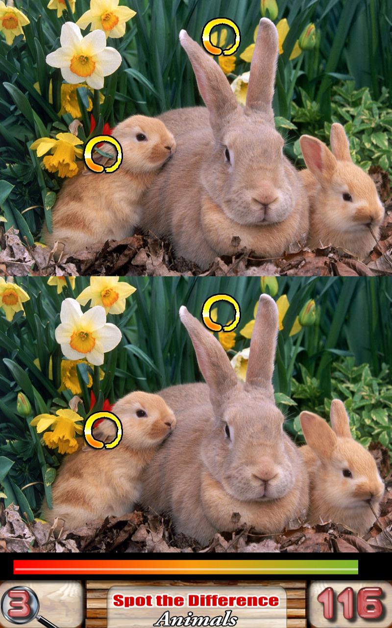 Spot the Difference Animals APK for Android Download