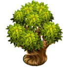 MagicTree icon