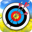 Archery Shooting Master