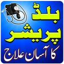 Blood Pressure Ka ilaj in Urdu aplikacja