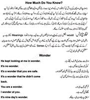برنامه‌نما Learn English Speaking in Urdu عکس از صفحه