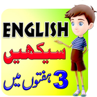 Learn English in Urdu 30 Days icono
