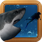 Hungry Angry Shark Attack icon