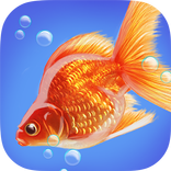 Goldfish Fun 3D