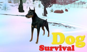 Simulateur de Snow Dog 3D Affiche