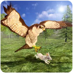 Wild Falcon Simulator 3D