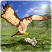 Selvagem Falcon Simulator 3D