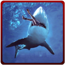 Shark Angry Revanche Attaque APK