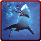 Angry Shark Revenge Attack 3D آئیکن