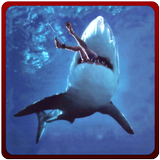 Angry Shark 3D ataque vingança ícone