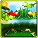 Bird Archery APK