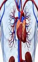 لعبة عملية جراحة القلب المفتوح-poster