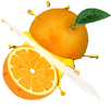Fruit Slicer APK