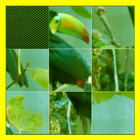 Picture Puzzle Photo Game icono