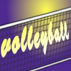 volleyball-icoon