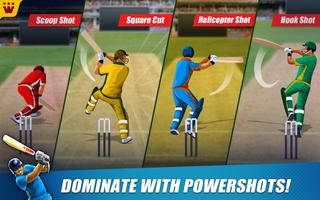 Power Cricket T20 Ekran Görüntüsü 1