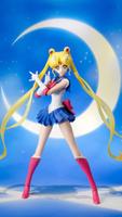 Sailor Moon Fun Games पोस्टर