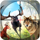 APK Safari Wild Animal Hunting: sniper 3D hunter game