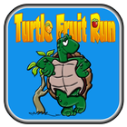 Turtle Fruit Ninja icon