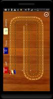 Cribbage Pegboard poster