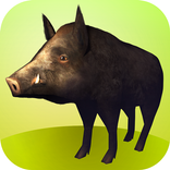 Zoo Happy Craft 3D
