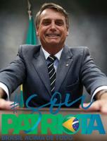 Bolsonaro Tarja Perfil تصوير الشاشة 2