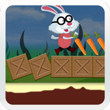 Bunny Run Jumping 3d icône