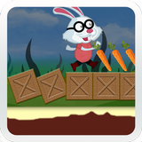 Bunny Run Jumping 3d icon