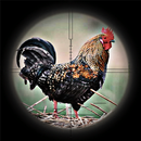 Sniper Chicken Hunting APK