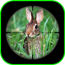 Rabbit Sniper Hunting : Shooting Challenge Games APK