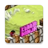 Cube Ninja Running