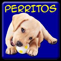 ¿Que perrito eres? ポスター