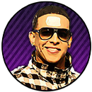 Daddy Yankee Adivina su Canción 🎤-APK