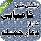 Dua Jamila Se Ilaj Islamic New icône