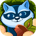 Raccoon Maze