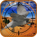 désert Des oiseaux Chasseur APK