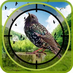 Flying Real Jungle birds hunter Mission APK download